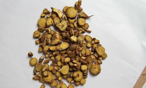 天麻葛根的功效与作用吃法-天麻的功效葛-专业天麻的功效与作用及正确吃法平台-天麻的功效和吃法
